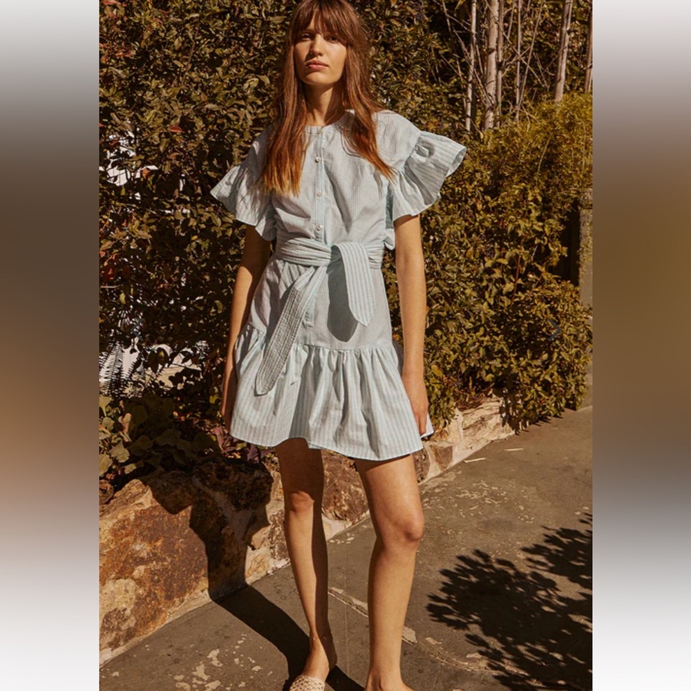 Saylor Fallon Mini Dress